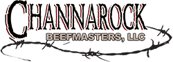 Channarock Logo