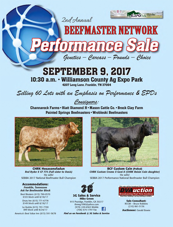 Beefmaster Network Performance Sale